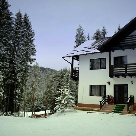 Pensiunea Vatra Bucovinei Vatra Moldovitei Exterior photo