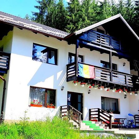 Pensiunea Vatra Bucovinei Vatra Moldovitei Exterior photo