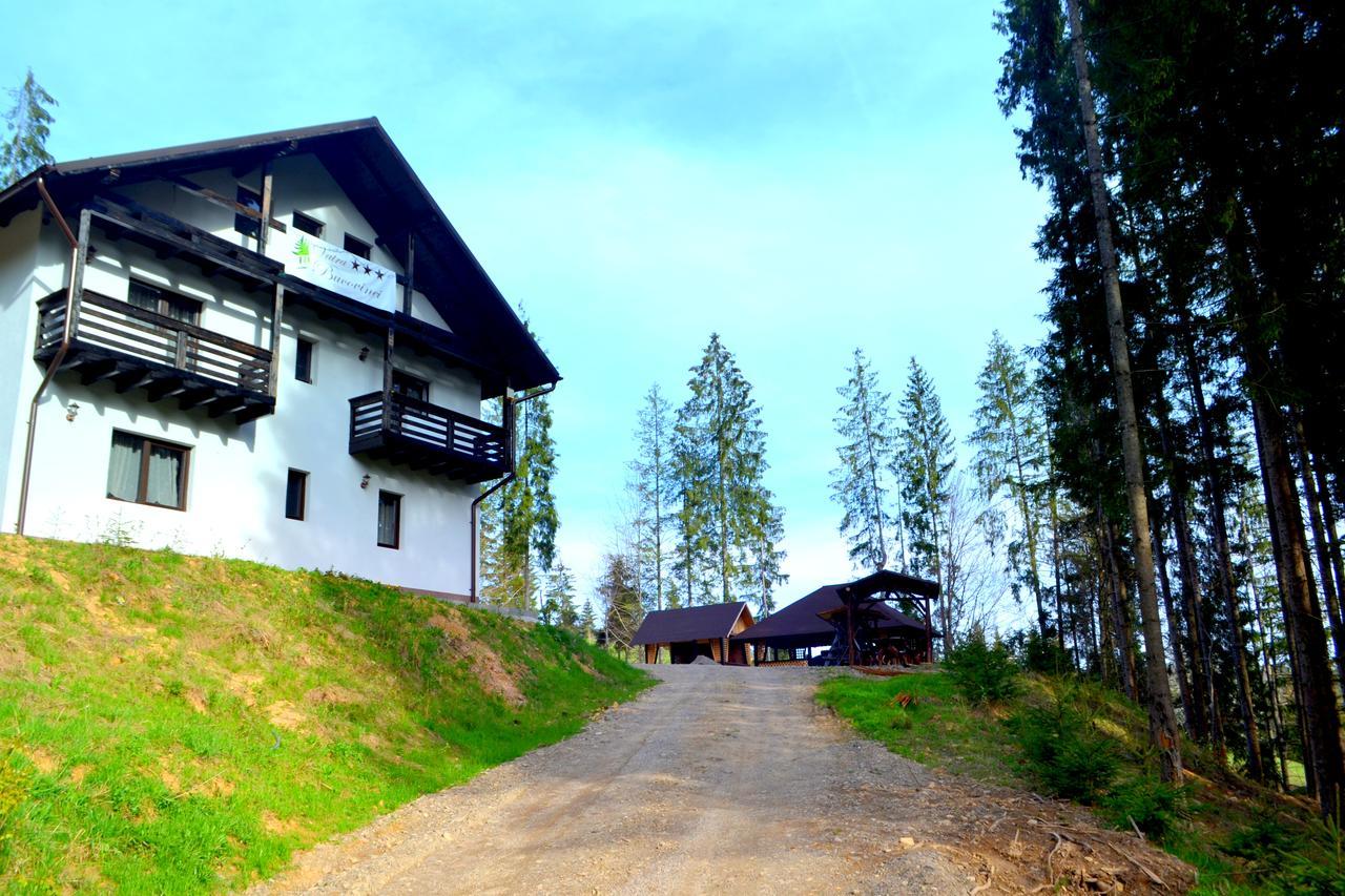 Pensiunea Vatra Bucovinei Vatra Moldovitei Exterior photo