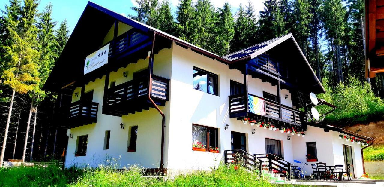 Pensiunea Vatra Bucovinei Vatra Moldovitei Exterior photo